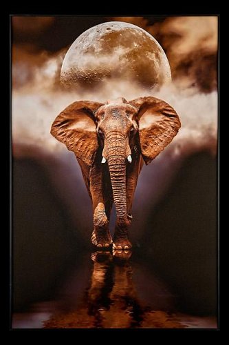 Картина настенная Teona Decor Elephant TD105