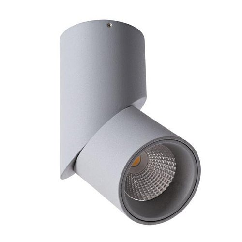Накладной светильник Arte Lamp Orione A7717PL-1GY