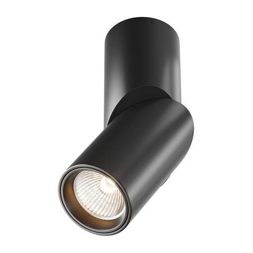 C027CL-L10B Накладной светильник Maytoni Dafne C027CL-L10B