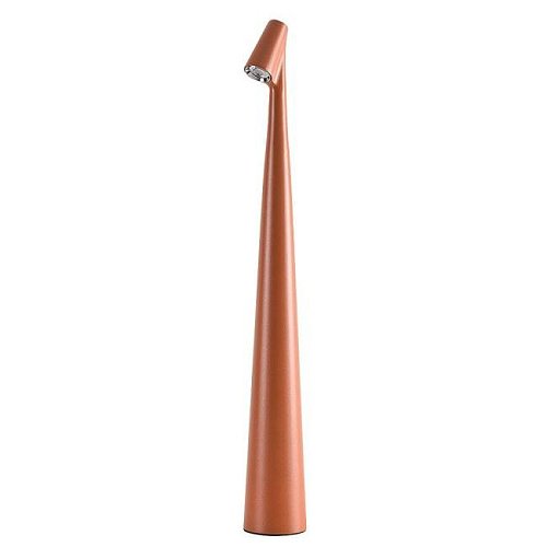 A3283LT-2BR Настольная лампа Arte Lamp Fusion A3283LT-2BR