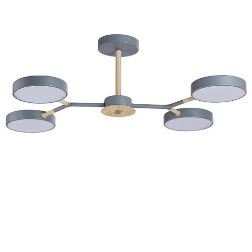 5651/72CL Потолочная люстра Lumion Brad 5651/72CL