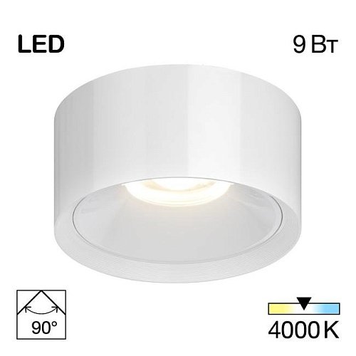 Накладной светильник Citilux Rover CL743090N