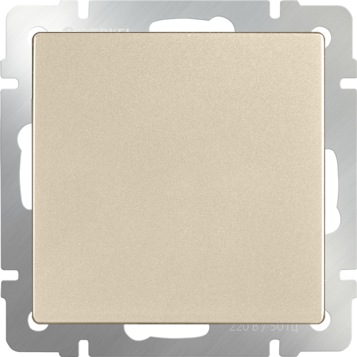 Розетка Werkel W1159211/ Заглушка (шампань)