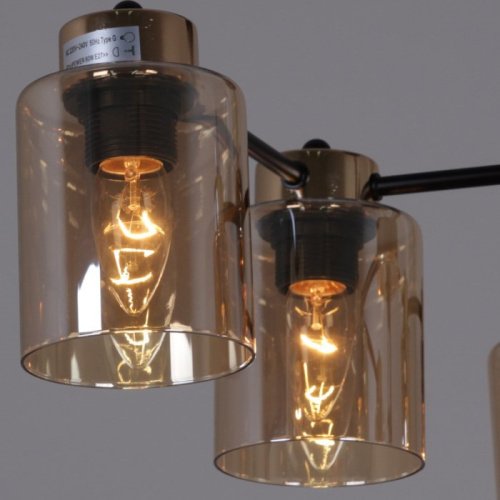 Потолочная люстра 01606-0.3-06 BK+FGD