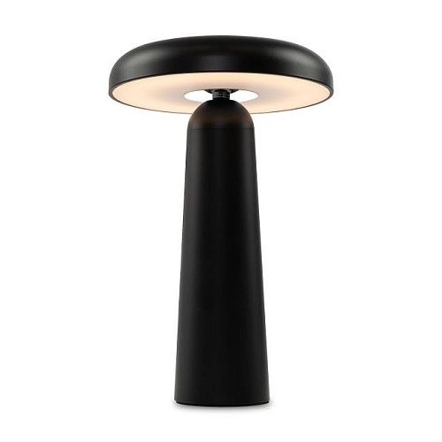 Настольная лампа Freya Mushroom FR6109TL-L4B