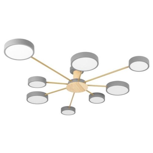 Потолочная люстра Loft It Sunrise 10316/8 Grey