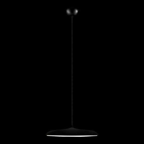 10119 Black Светильник подвесной Loft It Plato 10119 Black
