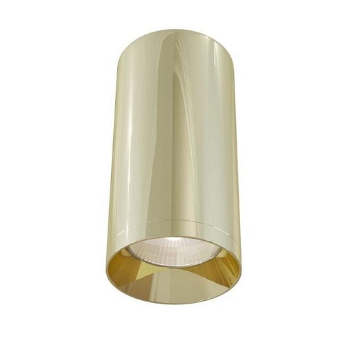 C010CL-01G Накладной светильник Maytoni Alfa C010CL-01G
