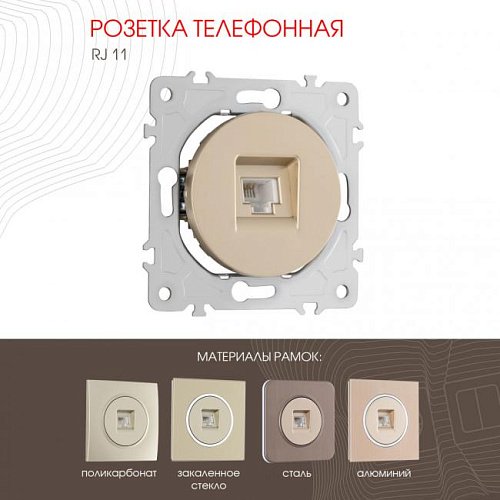202.51-1.shampan Розетка Arte Milano Am-202 202.51-1.shampan