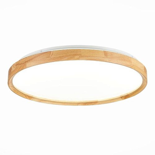 Светильник потолочный Evoluce Delia SLE201382-01