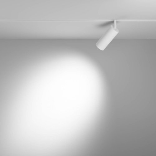 Трековый светильник Maytoni Focus LED Exility TR032-2-12W3K-S-W