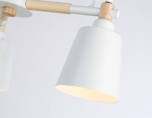 TR82204 Потолочная люстра Ambrella Loft TR82204