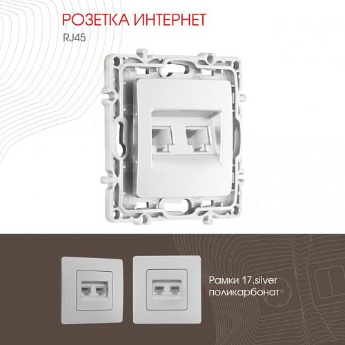 217.45-2.silver Розетка Arte Milano Am-217 217.45-2.silver