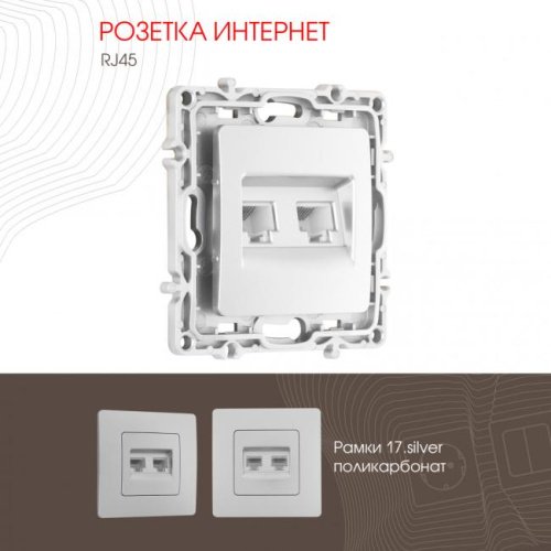 Розетка Arte Milano Am-217 217.45-2.silver