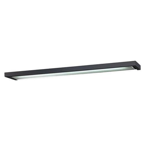 Настенно потолочный светильник Odeon Light SELVE 2032/1W