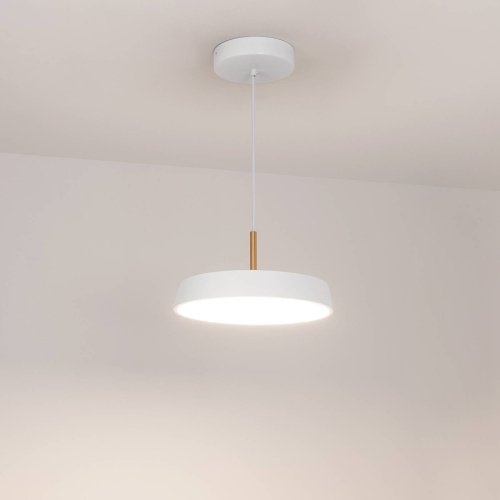 033919 Светильник подвесной Arlight Elegant 033919