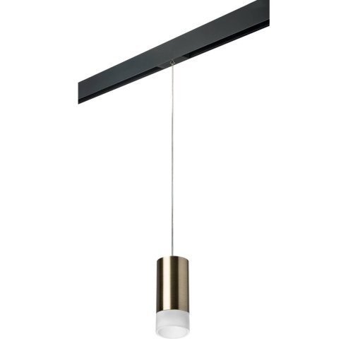 Трековый светильник Lightstar Rullo PRORP43131