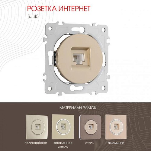 202.45-1.shampan Розетка Arte Milano Am-202 202.45-1.shampan