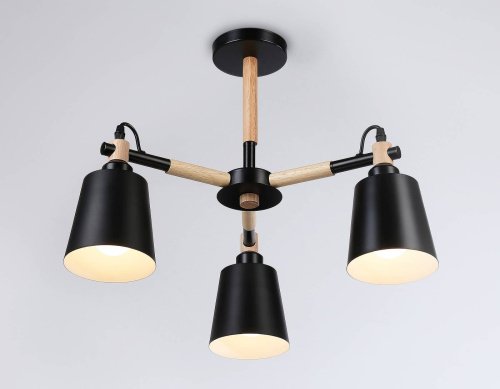 TR82206 Потолочная люстра Ambrella Loft TR82206