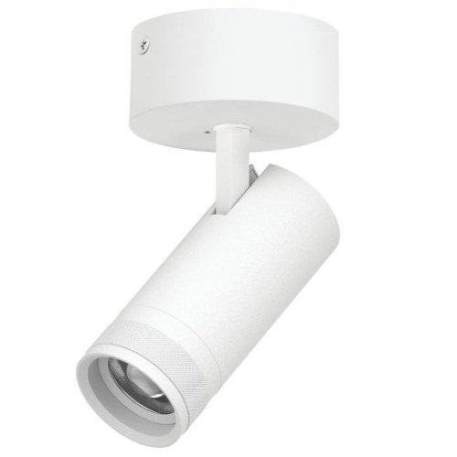 Светильник спот Lightstar Canno Pro C4206SO