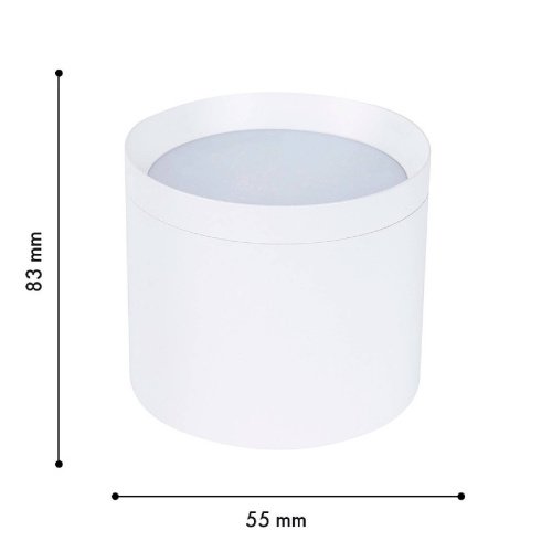 Накладной светильник Favourite Rote 4708-1C