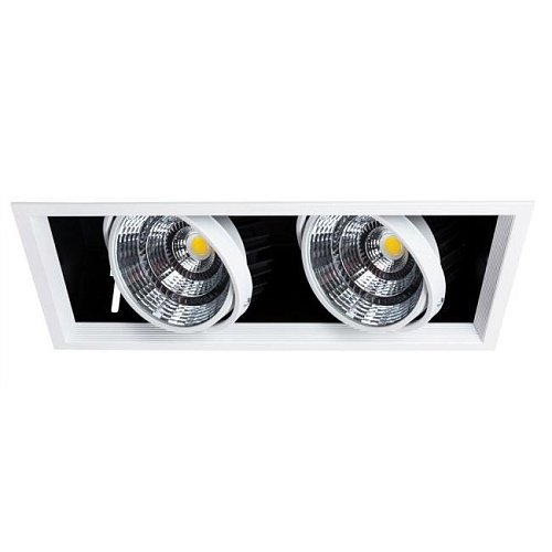 A8450PL-2WH Встраиваемый светильник Arte Lamp Merga A8450PL-2WH