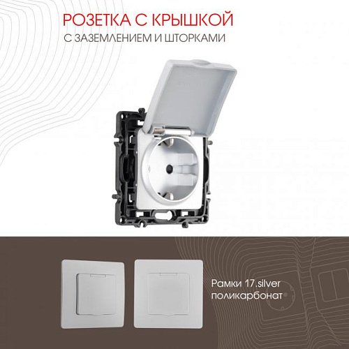 217.41-1.silver Розетка Arte Milano Am-217 217.41-1.silver