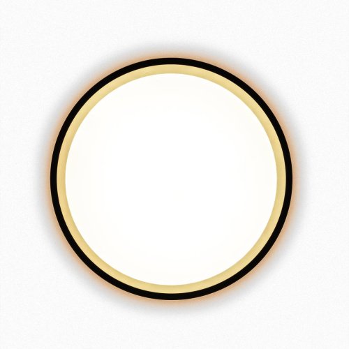 Светильник потолочный Citilux Etalon CL750181