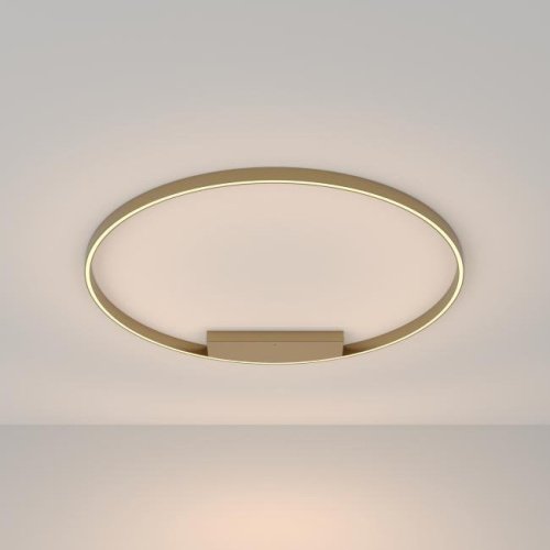 Светильник потолочный Maytoni Rim MOD058CL-L65BS3K