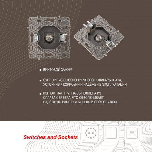 Розетка Arte Milano Am-217 217.42-1.shampan