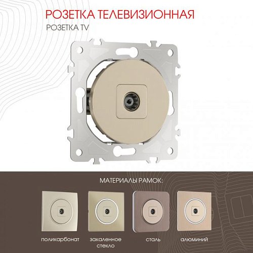 202.43-1.shampan Розетка Arte Milano Am-202 202.43-1.shampan