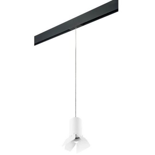 PRORP436436 Трековый светильник Lightstar Rullo PRORP436436