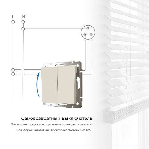 Выключатель Werkel W1122403/ Выключатель двухклавишный с самовозвратом (слоновая кость)