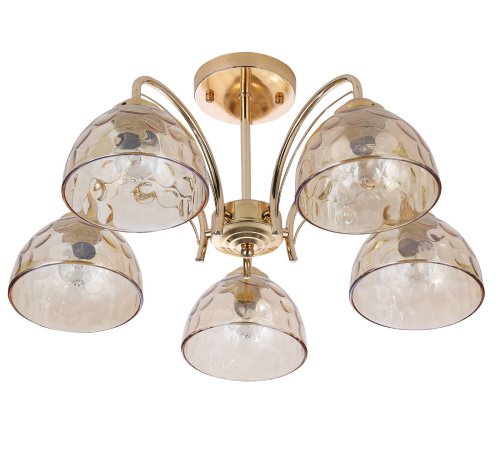 Потолочная люстра Rivoli Terri 9172-305