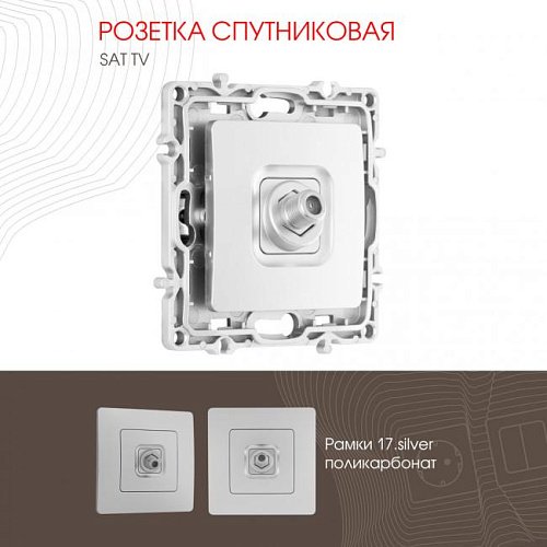 Розетка Arte Milano Am-217 217.42-1.silver