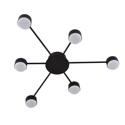 Потолочная люстра Lumion Torina 8344/6С