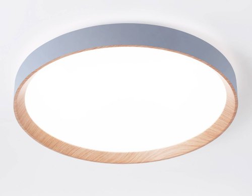 FZ1322 Светильник потолочный Ambrella Design FZ1322