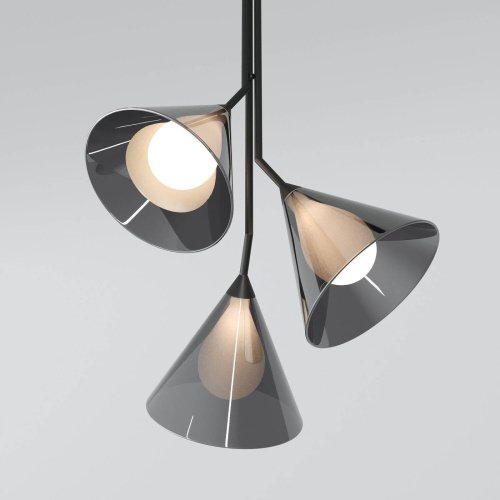 Светильник подвесной Eurosvet Enigma 70161/3 черный