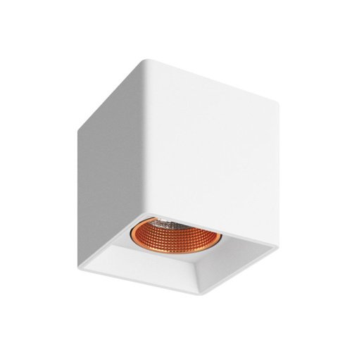DK3080-WBR Накладной светильник Denkirs Dk3020Wbr DK3080-WBR