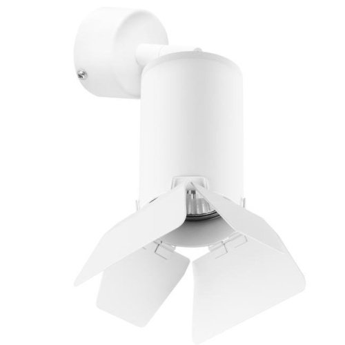 Светильник спот Lightstar Rullo RB436436