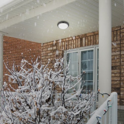 Уличные потолочные Novotech Opal 357505