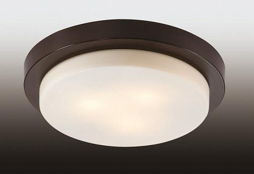 2744/3C Настенно потолочный светильник Odeon Light Holger 2744/3C