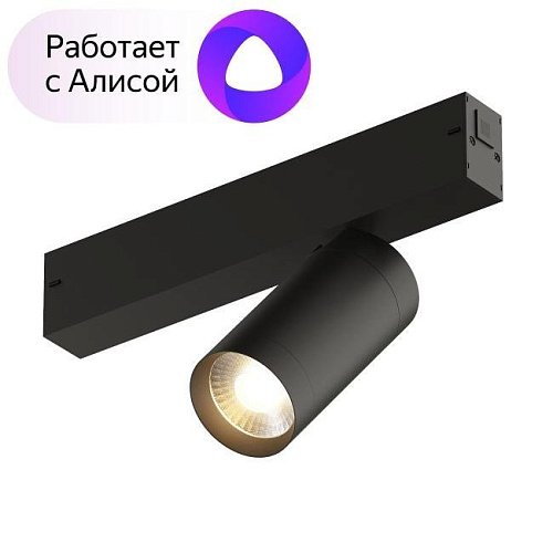 DK8010-BK Трековый светильник Denkirs Smart Spot DK8010-BK