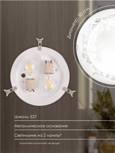 Настенно потолочный светильник Мелодия Света Snow White 000059665