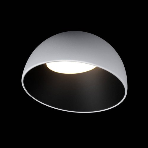 Светильник потолочный Loft It Egg 10197/350 WB