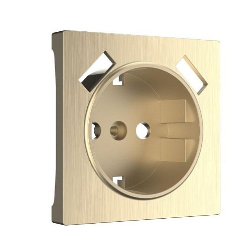 Накладка на механизм Werkel W1179510/ Накладка для розетки USB (шампань рифленый)