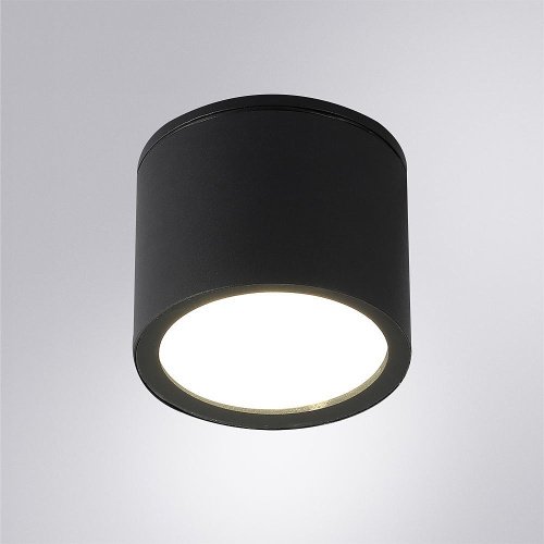 A1913PF-1BK Уличный потолочный светильник Arte Lamp Piautos A1913PF-1BK