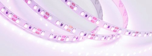 LED лента Arlight RT открытая 015897(2)
