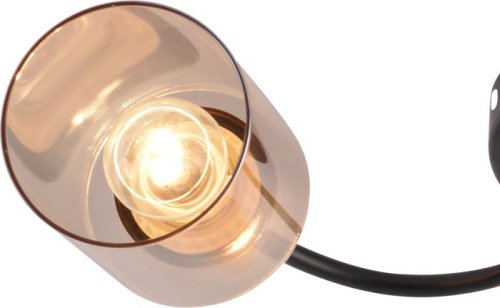 Потолочная люстра 01608-0.3-03 BK+BRASS