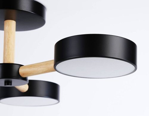 FL4823 Потолочная люстра Ambrella LineTech FL4823